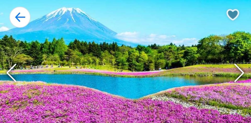 Tokyo: Mt. Fuji, Kawaguchi Lake, & Oshino Hakkai Day Trip - Frequently Asked Questions