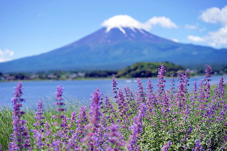 Tokyo: Mt Fuji Trip With Kawaguchiko Ropeway and Matcha Tea - Frequently Asked Questions