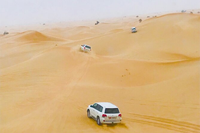 Abu Dhabi Morning Desert Safari - Key Points