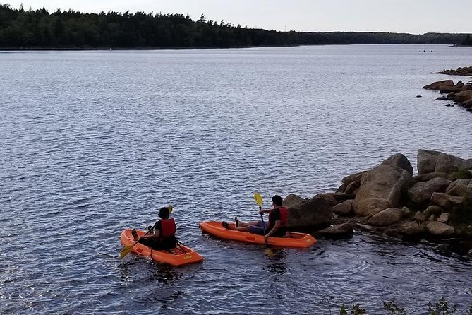 Adult Single Kayak Rental - Key Points