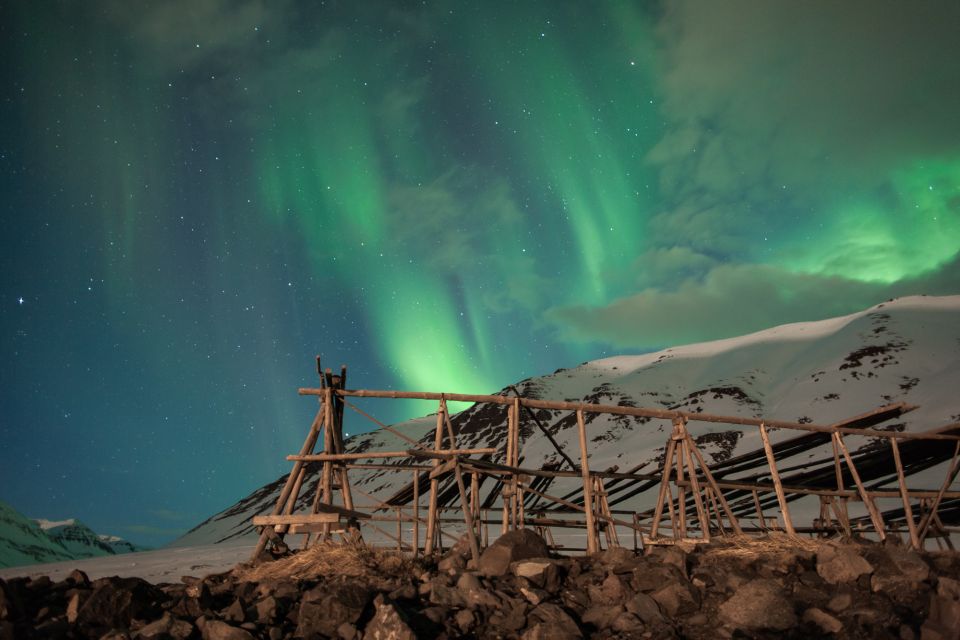 Akureyri: Private Northern Lights Tour With Transfer & Snack - Key Points