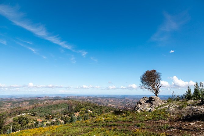 Algarve À La Carte - Discovering Silves Castle