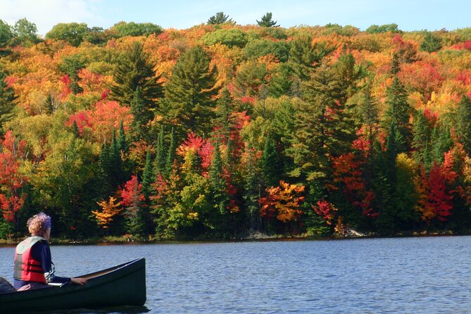 Algonquin Park Luxury 3-Day Camping & Canoeing: Moose/Beaver/Turtle Adventure - Key Points