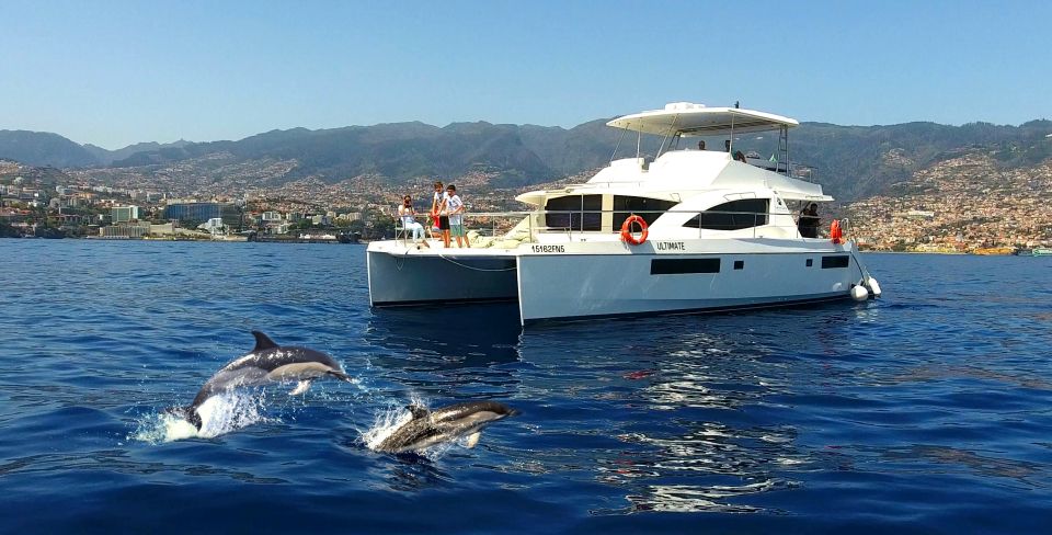 All Inclusive Whale and Dolphin Watching Luxury Tour - Key Points