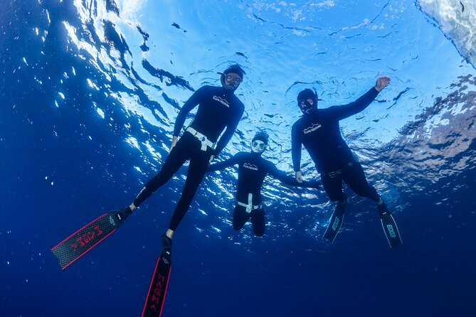 Amalfi Coast Snorkeling Experience With Freediving Instructor - Key Points