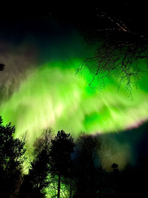 Amazing Aurora With BBQ in the Best Spot in Rovaniemi! - Key Points