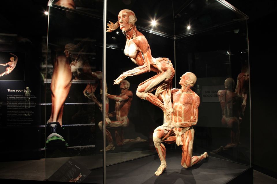 Amsterdam: Body Worlds Exhibition and Canal Cruise - Key Points