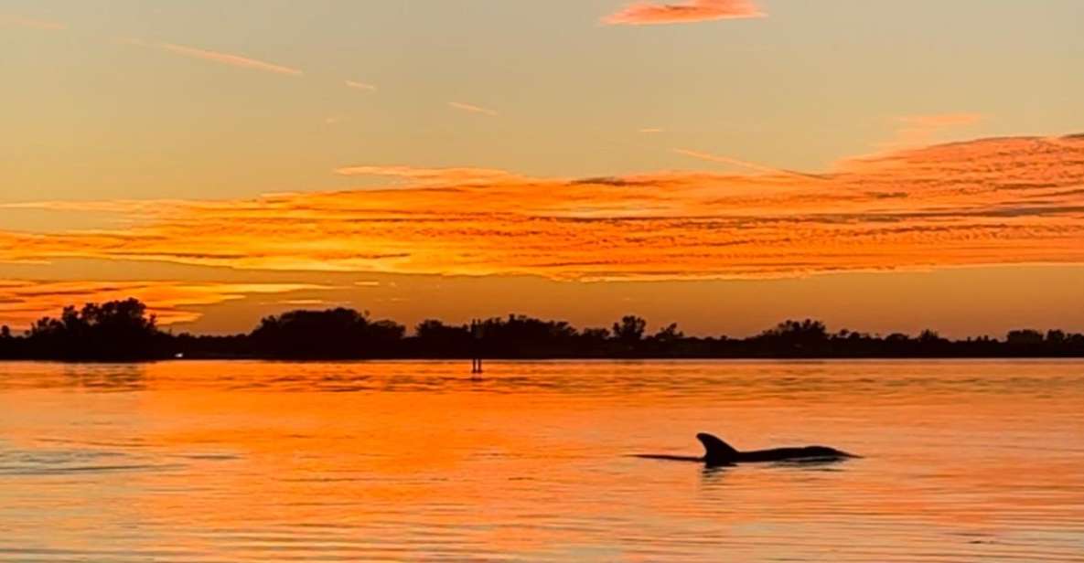 Anna Maria Island and Bradenton: Sunset Kayak Dolphin Tour - Key Points