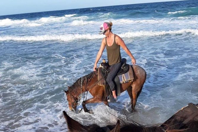 Aruba 2,5 Hrs Horseback Riding for Advanced Riders - Tour Overview