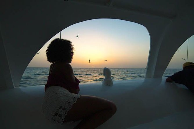 Aruba Sunset Sail Cruise Aboard the Dolphin Catamaran - Tour Details