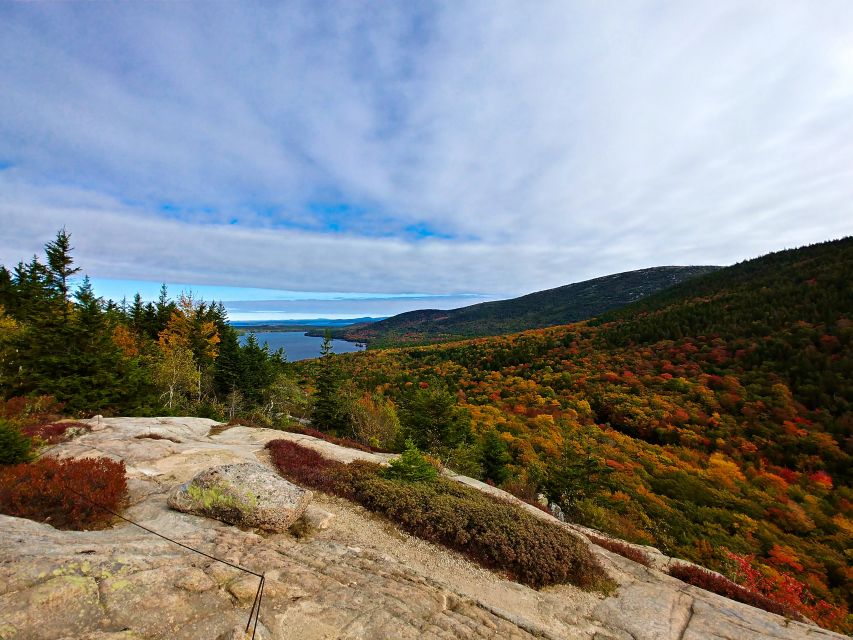 Bar Harbor: Acadia National Park Small-Group Guided Tour - Key Points