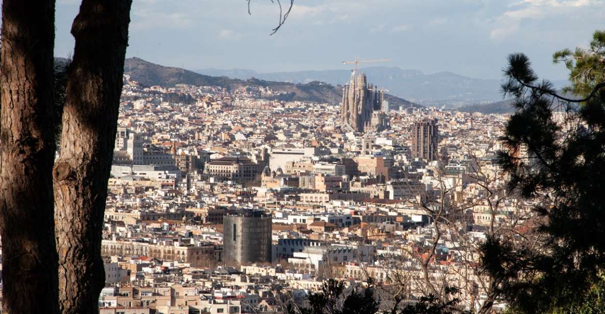 Barcelona: Montjuïc Walking Tour With Optional Flamenco Show - Key Points