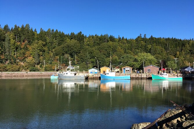 Bay of Fundy Tour in Luxury Car - Key Points