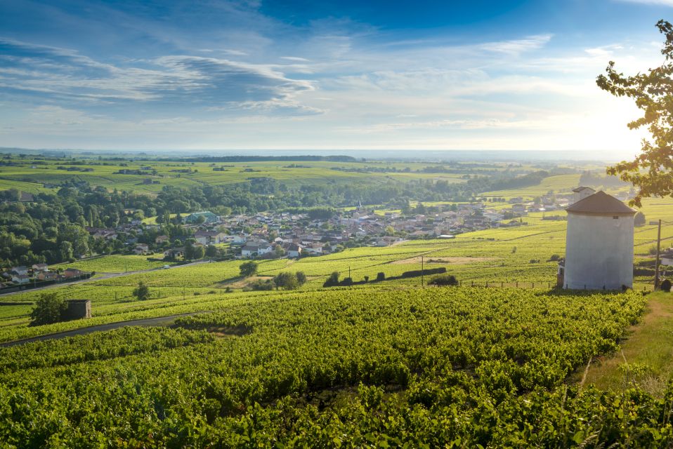 Beaujolais: Segway Tour With Wine Tasting - Key Points