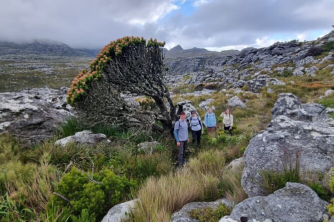 BEST of Table Mountain! Exhilarating Full-day Guided Hike - Key Points