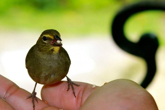 Bird Sanctuary (Montego Bay) Jamaica - Key Points