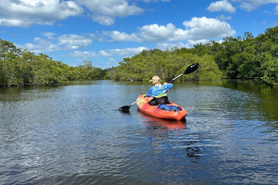 Bradenton: Anna Maria Island Guided Kayaking Manatee Tour - Key Points