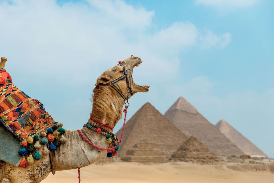 Cairo: 12-DAY Egypt Highlights Private Tour W/ Accommodation - Key Points