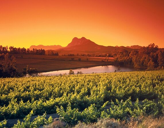 Cape Winelands - Stellenbosch, Franschoek & Paarl, Small Group Tour - Key Points