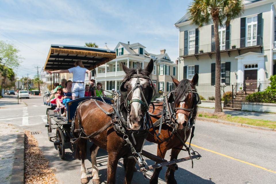 Charleston: 1-Hour Carriage Tour of the Historic District - Key Points