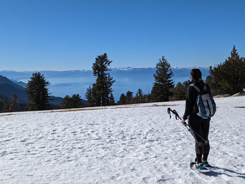 Chickadee Ridge Beginner Snowshoeing Hike - Key Points