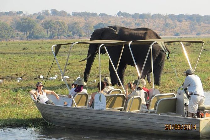 Chobe Day Trip From Victoria Falls Zimbabwe - Key Points