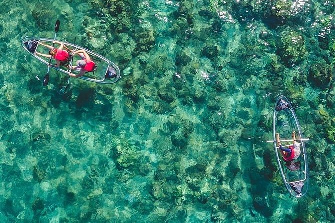 Clear Kayak and Snorkel Tour at Turtle Town, Makena - Key Points