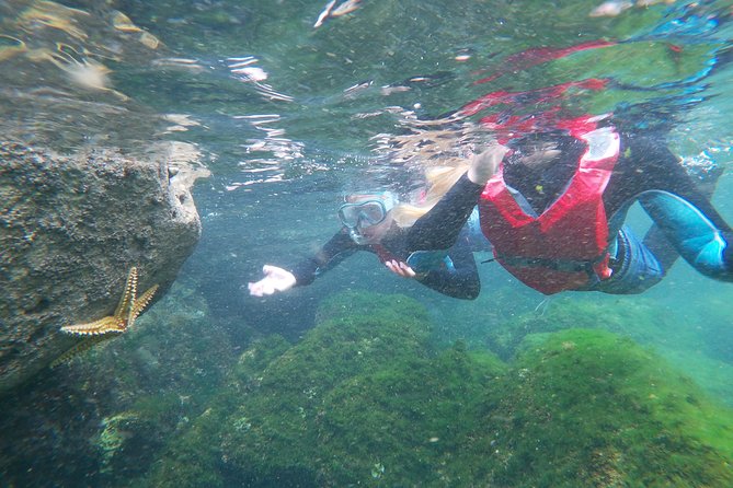 Coasteering Adventure With Snorkeling: Kids Version - Overview of the Adventure