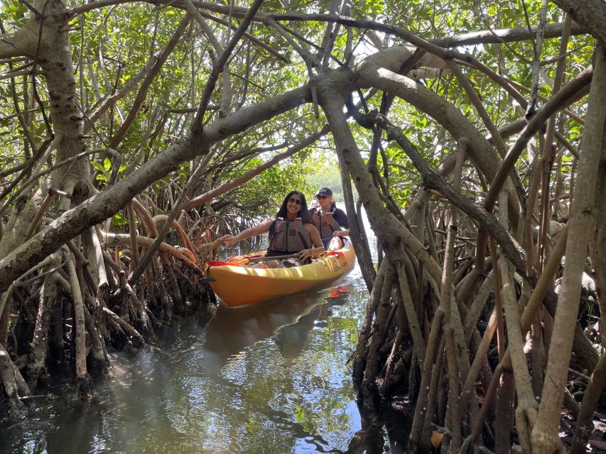 Cocoa Beach: Sunset Guided Kayak Tour - Key Points