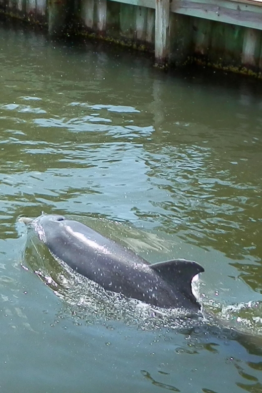 Cocoa Beach: Thousand Islands Banana River Boat Cruise - Key Points