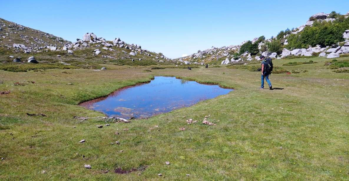 Cushion Plateau, 1000 Waterholes Grass: Pozzines - Key Points