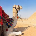 Day Tour To Giza Pyramids Memphis City And Sakkara Tour Overview