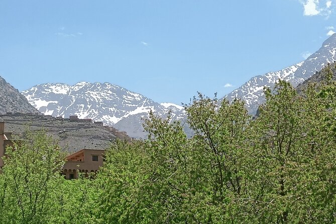 Day Trip to Ourika Valley From Marrakech - Tour Overview