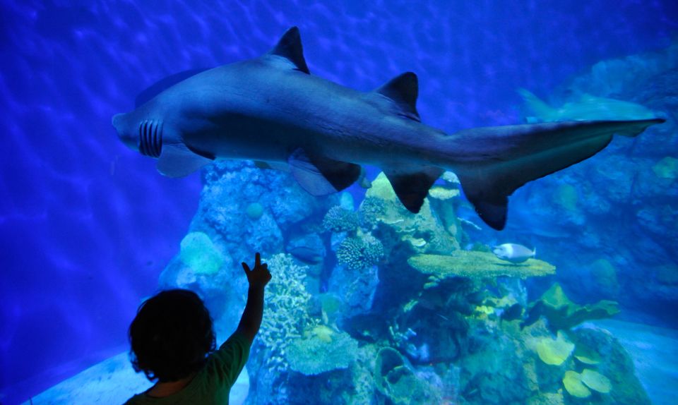 Denver: Downtown Aquarium All-Day Pass - Key Points