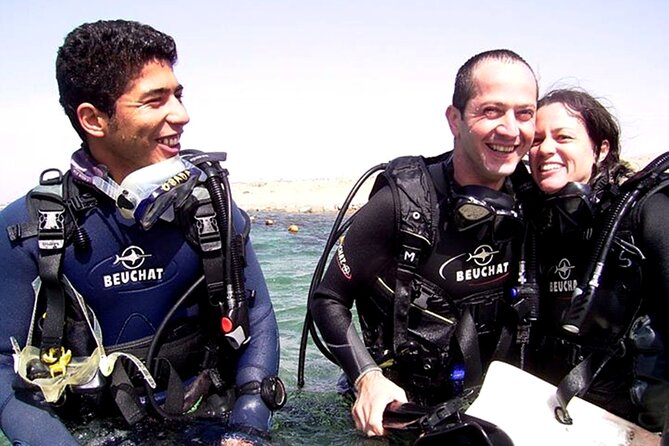 Discover the Coral Reefs in Aqaba - Scuba Experience for Beginners - Key Points