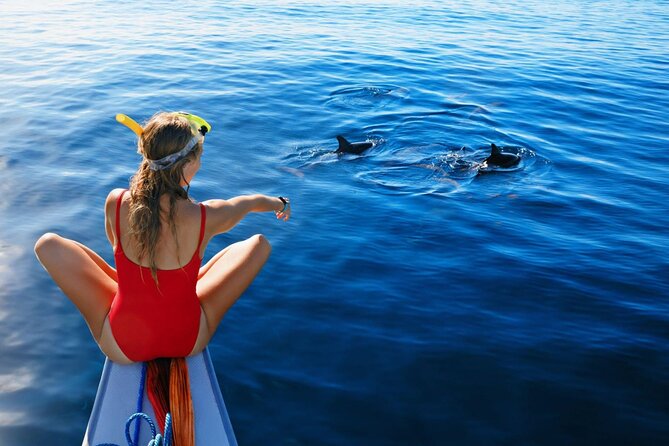 Dolphin House Sea Trip Snorkeling Water Sports and Lunch-Hurghada - Key Points