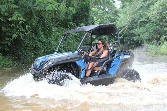 Double Buggy From Samaná - Overview