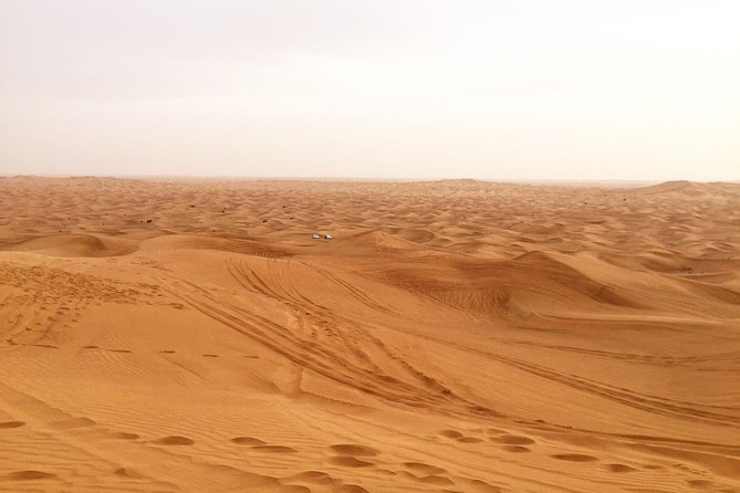 Dubai Morning Desert Small-Group Tour With Dune Bash - Key Points