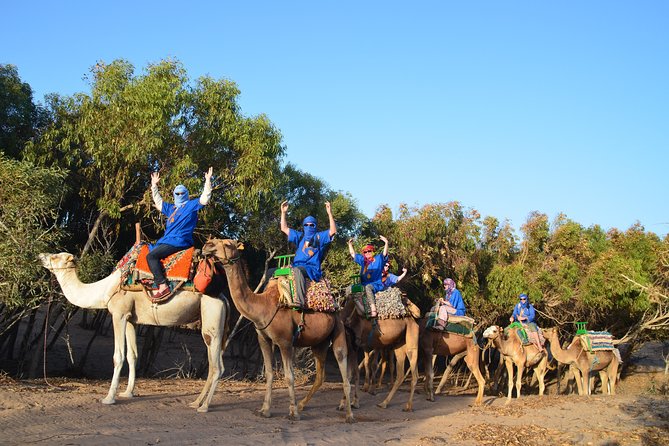 Essaouira 2-Hour Camel Adventure Ride - Key Points