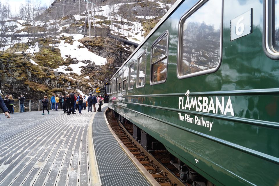 Fjords: Private Trip With Train and Cruise Ride - Key Points