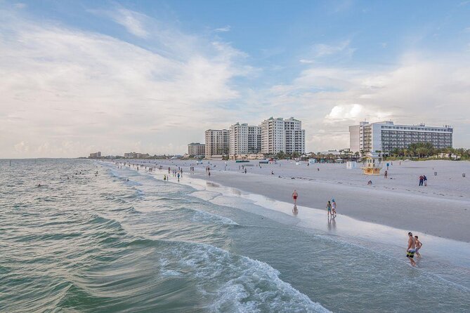 !! Flippers Fun Boat !! Dolphin Tour Adventure Clearwater Beach! - Key Points