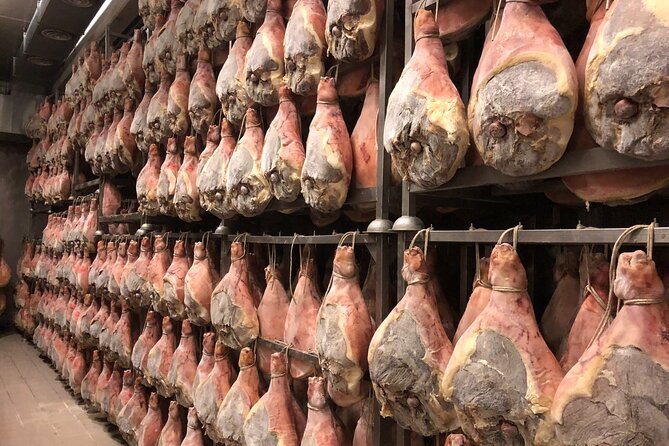 Food Tour: Prosciutto, Parmigiano, Balsamic, Lambrusco, Lunch, Transport - Key Points