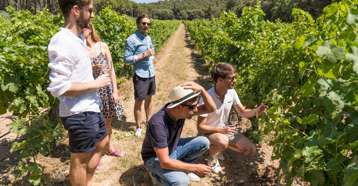 From Aix-en-Provence: Wine Tour in Cezanne Countryside - Key Points