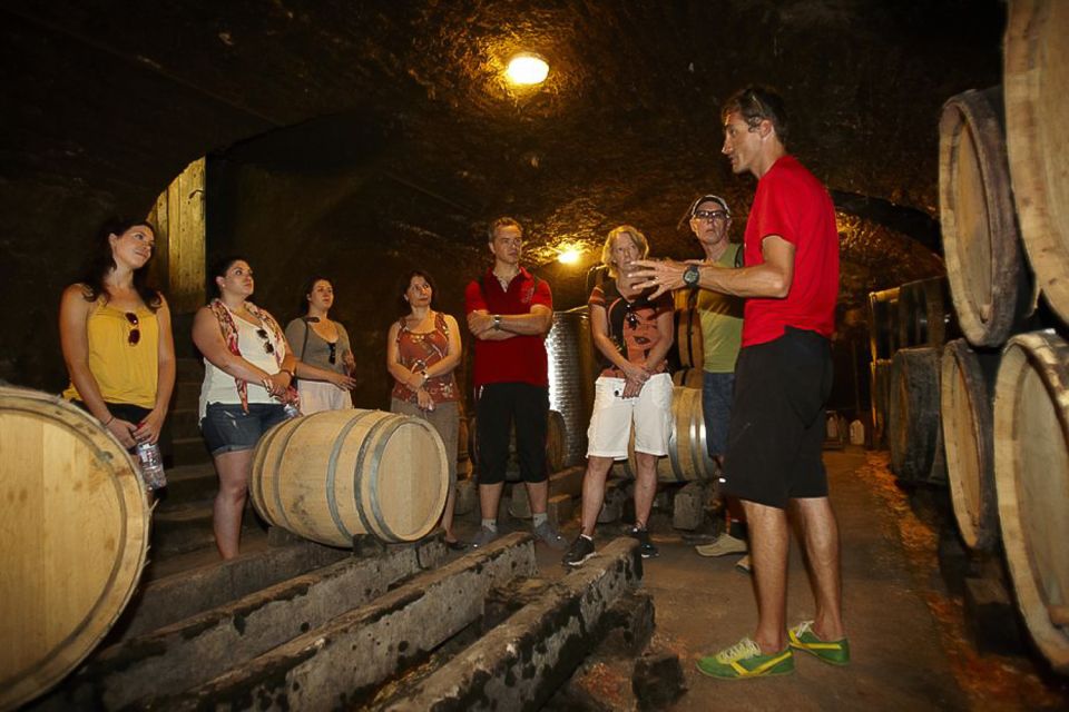 From Beaune: Full-Day Bicycle and Wine Tour in Burgundy - Key Points