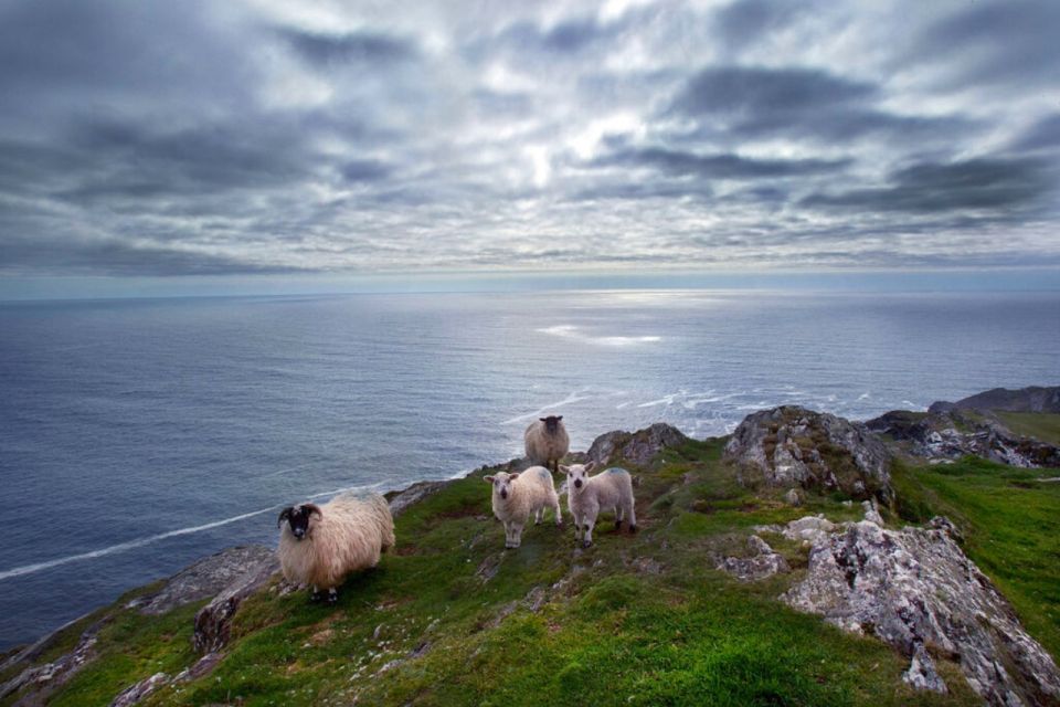 From Cork: Guided Full-Day West Cork to Mizen Head Tour - Key Points