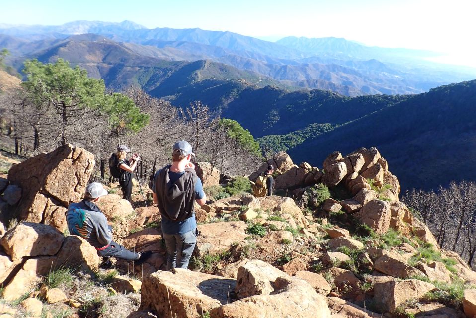 From Costa Del Sol: Sierra Bermeja Private Hiking Tour - Key Points