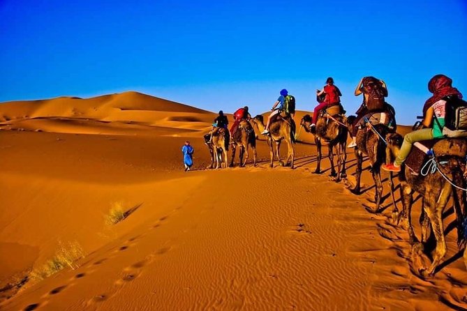 From Marrakech to Sahara Merzouga - 3 Days Trip - Key Points