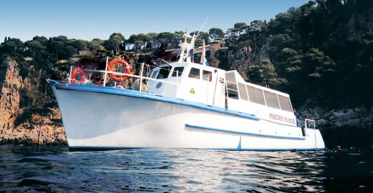 From Nice: Villefranche Bay Swimming & Snorkeling Boat Tour - Key Points