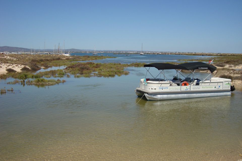 From Olhão: Ria Formosa & Culatra Island 3.5-Hour Boat Trip - Key Points