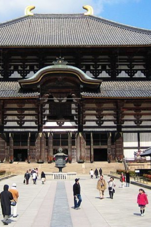 From Osaka: Kyoto and Nara Customize Private Tour by Alphard - Itinerary Highlights